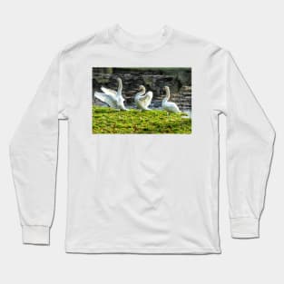 Three White Swans art - Follow the Leader Long Sleeve T-Shirt